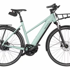 Riese & Muller Roadster Mixte Vario – Salvia Matt