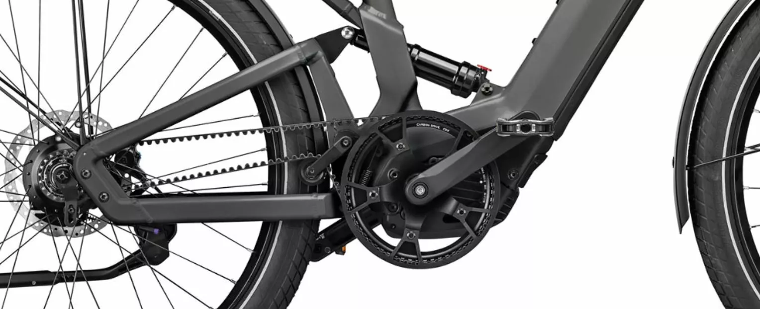 Riese & Muller Delite GT Rohloff HS 7 Riese & Muller Delite GT Rohloff HS - Image 5