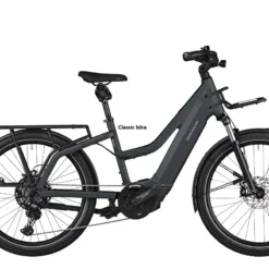 Riese & Muller Multicharger Mixte GT Touring 750