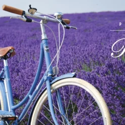 Pashley Poppy 3-vaihteinen Naisten Pyörä- Sininen -Sähköpyörät myymälä products pashley poppy a8230 1