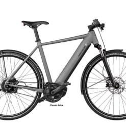 Riese & Muller Roadster Vario