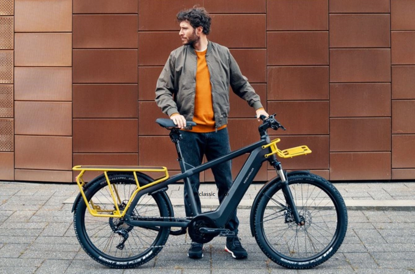 Riese & Muller Multicharger GT Vario 750 5 Riese & Muller Multicharger GT Vario 750 - Image 3