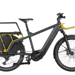 Riese & Muller Multicharger GT Family Utility Grey Väri